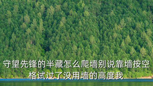 守望先锋的半藏怎么爬墙别说靠墙按空格试过了没用墙的高度我