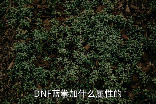 DNF蓝拳加什么属性的