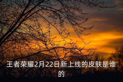 王者荣耀2月22日新上线的皮肤是谁的