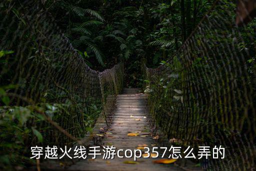 穿越火线手游cop357怎么弄的