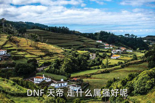 DNF 天帝 走什么属强好呢