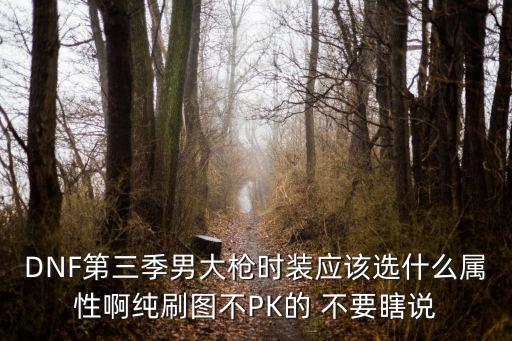 DNF第三季男大枪时装应该选什么属性啊纯刷图不PK的 不要瞎说