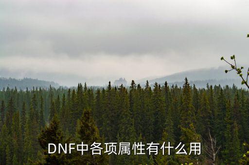 DNF中各项属性有什么用