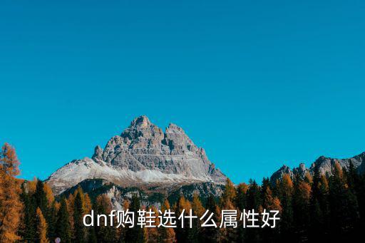 dnf购鞋选什么属性好