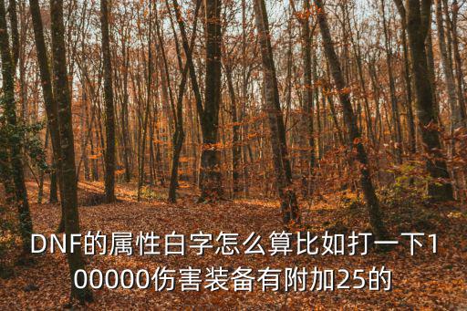 DNF的属性白字怎么算比如打一下100000伤害装备有附加25的