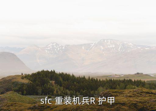 sfc 重装机兵R 护甲