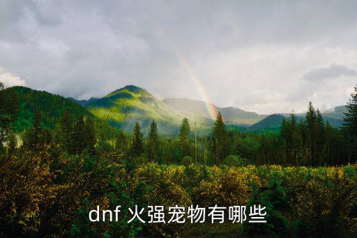 dnf什么宠物加火属性，地下城那个火属性的宠物是什么炎什么它的属性怎么样 详细点