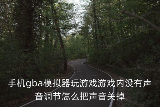 手机gba模拟器玩游戏游戏内没有声音调节怎么把声音关掉