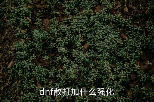 dnf散打属性强化选什么，dnf散打加什么强化