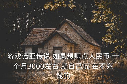 游戏诺亚传说 如果想赚点人民币 一个月3000左右 就自己玩 在不充钱的