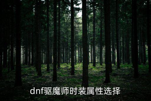 dnf驱魔师时装属性选择