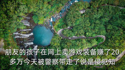 朋友的孩子在网上卖游戏装备赚了20多万今天被警察带走了说是侵犯知