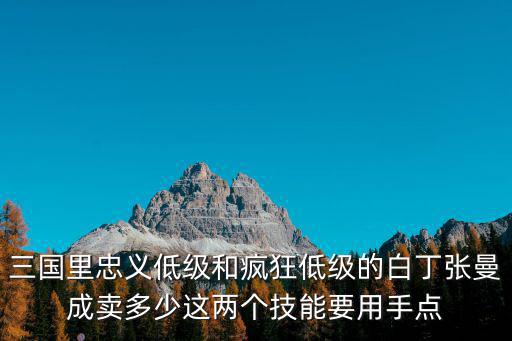 三国里忠义低级和疯狂低级的白丁张曼成卖多少这两个技能要用手点