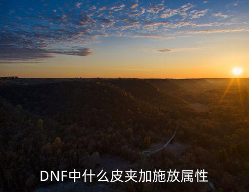 DNF中什么皮夹加施放属性