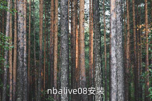 nbalive08安装