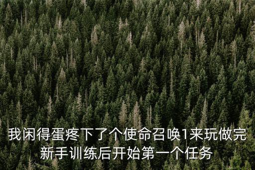 我闲得蛋疼下了个使命召唤1来玩做完新手训练后开始第一个任务