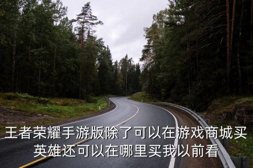 王者荣耀手游版除了可以在游戏商城买英雄还可以在哪里买我以前看