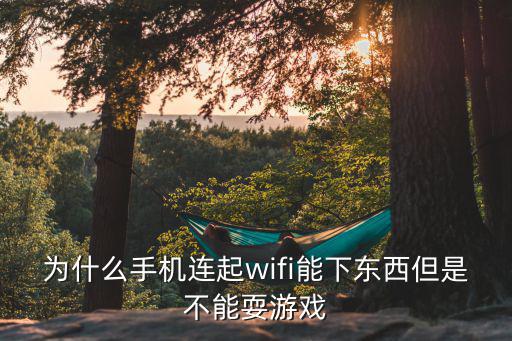 为什么手机连起wifi能下东西但是不能耍游戏