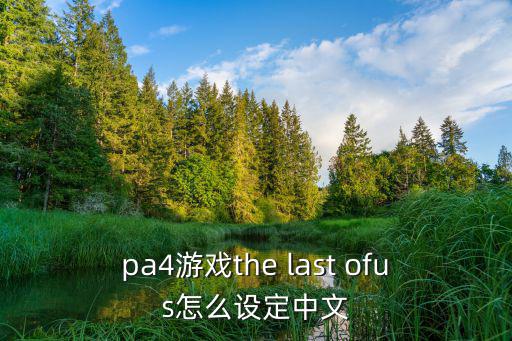 pa4游戏the last ofus怎么设定中文
