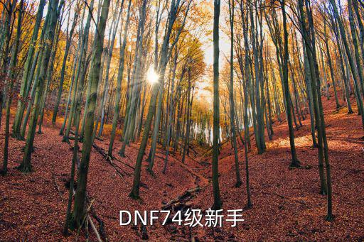 DNF74级新手