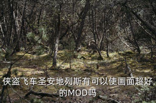 侠盗飞车圣安地列斯有可以使画面超好的MOD吗