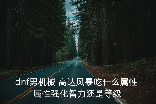 dnf男机械 高达风暴吃什么属性 属性强化智力还是等级