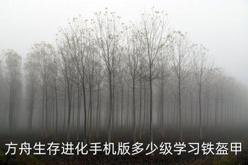 方舟生存进化手机版多少级学习铁盔甲