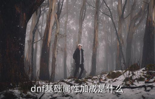 dnf基础属性加成是什么