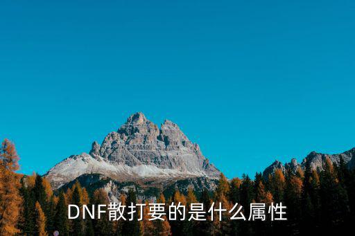 DNF散打要的是什么属性