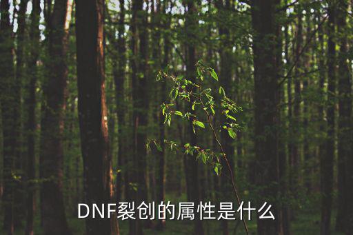 DNF裂创的属性是什么