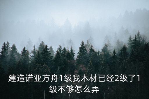 建造诺亚方舟1级我木材已经2级了1级不够怎么弄