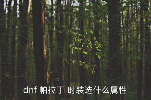 dnf帕拉丁 吃什么属性，dnf帕拉丁的技能属于什么属性