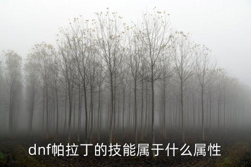 dnf帕拉丁的技能属于什么属性