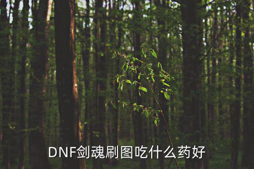 dnf剑魂吃什么属性药，DNF中剑魂吃什么药来增加攻击力