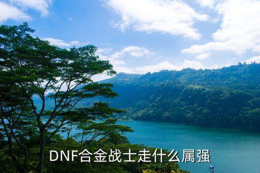 DNF合金战士走什么属强