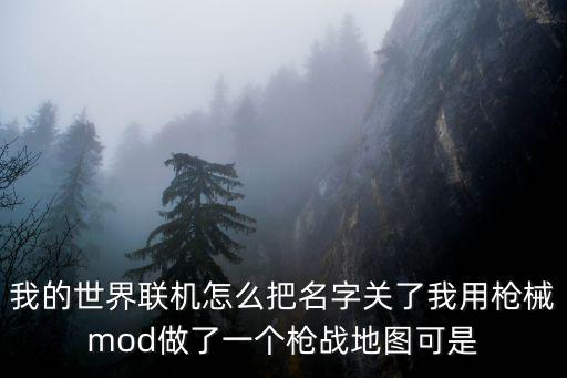 我的世界联机怎么把名字关了我用枪械mod做了一个枪战地图可是