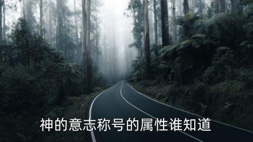 神的意志称号的属性谁知道