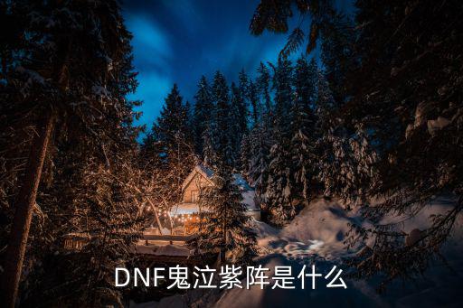 DNF鬼泣紫阵什么属性，鬼泣的紫色阵叫什么 什么样属性