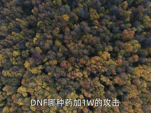 DNF哪种药加1W的攻击