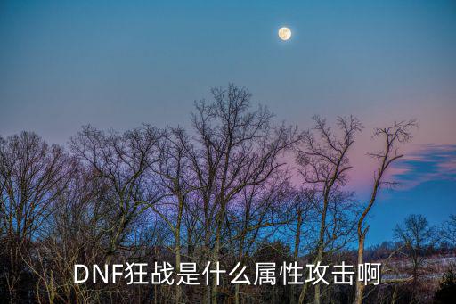 dnf狂战付什么属性攻击，DNF狂战是什么属性攻击啊