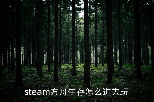 方舟生存进化手游红方舟怎么进，方舟生存进化单人游戏怎么进