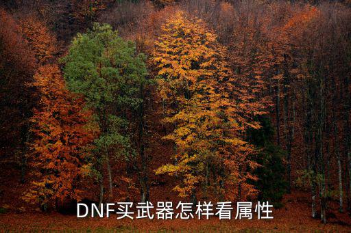 DNF买武器怎样看属性