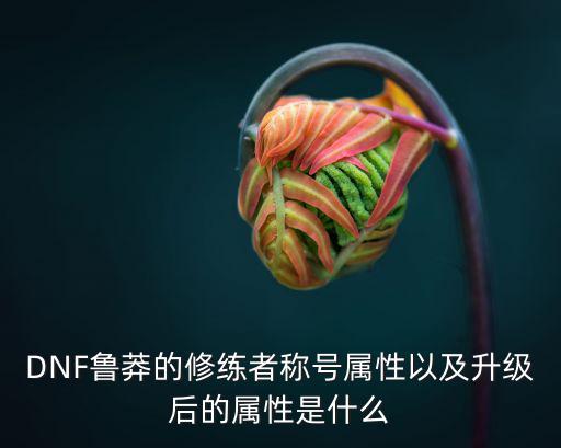 DNF鲁莽的修练者称号属性以及升级后的属性是什么