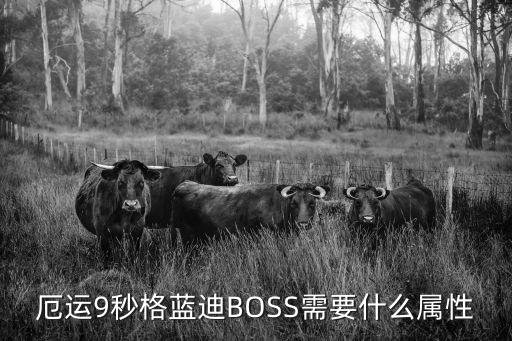 厄运9秒格蓝迪BOSS需要什么属性