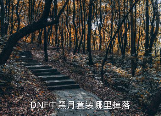 DNF中黑月套装哪里掉落