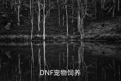 DNF宠物饲养