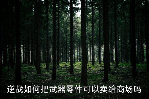 逆战游戏装备怎么卖钱的，逆战如何把武器零件可以卖给商场吗