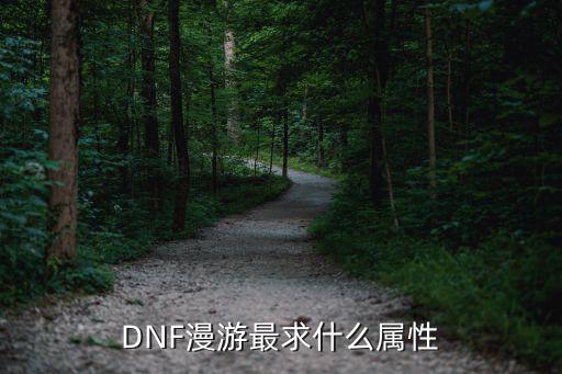 DNF漫游最求什么属性