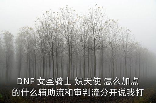 DNF 女圣骑士 炽天使 怎么加点的什么辅助流和审判流分开说我打