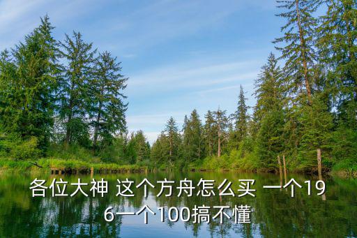 各位大神 这个方舟怎么买 一个196一个100搞不懂